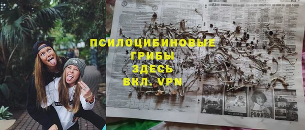 прущие крисы Беломорск