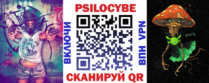 Псилоцибиновые грибы Psilocybine cubensis  Кыштым 
